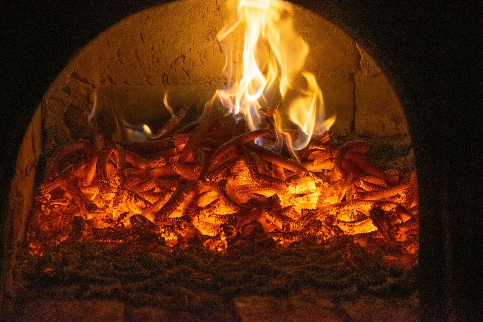 Nikon D3300 sample photo. Fire, furnace, flame photography