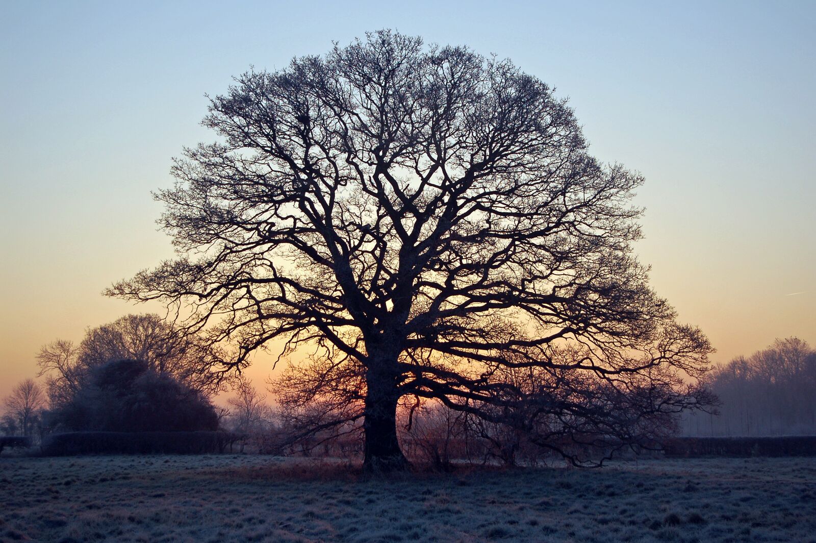 Nikon D50 sample photo. Dawn, sunrise, winter photography