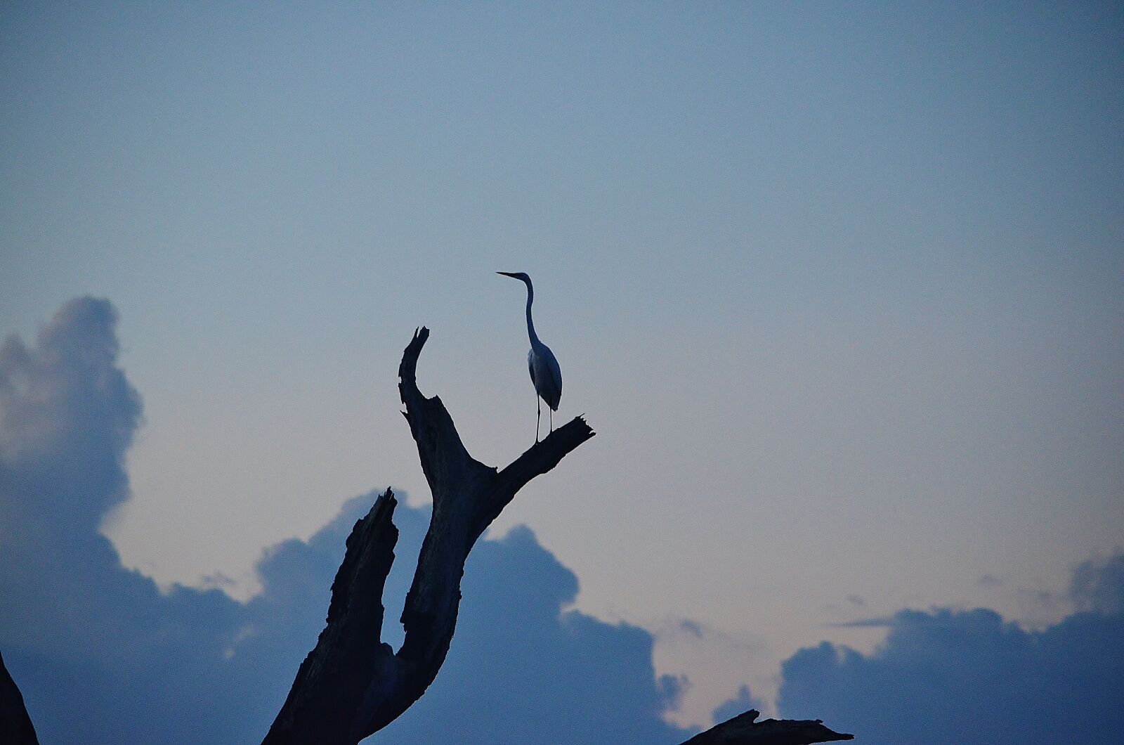 Nikon D5100 sample photo. Sunrise, atlantic, ocean photography
