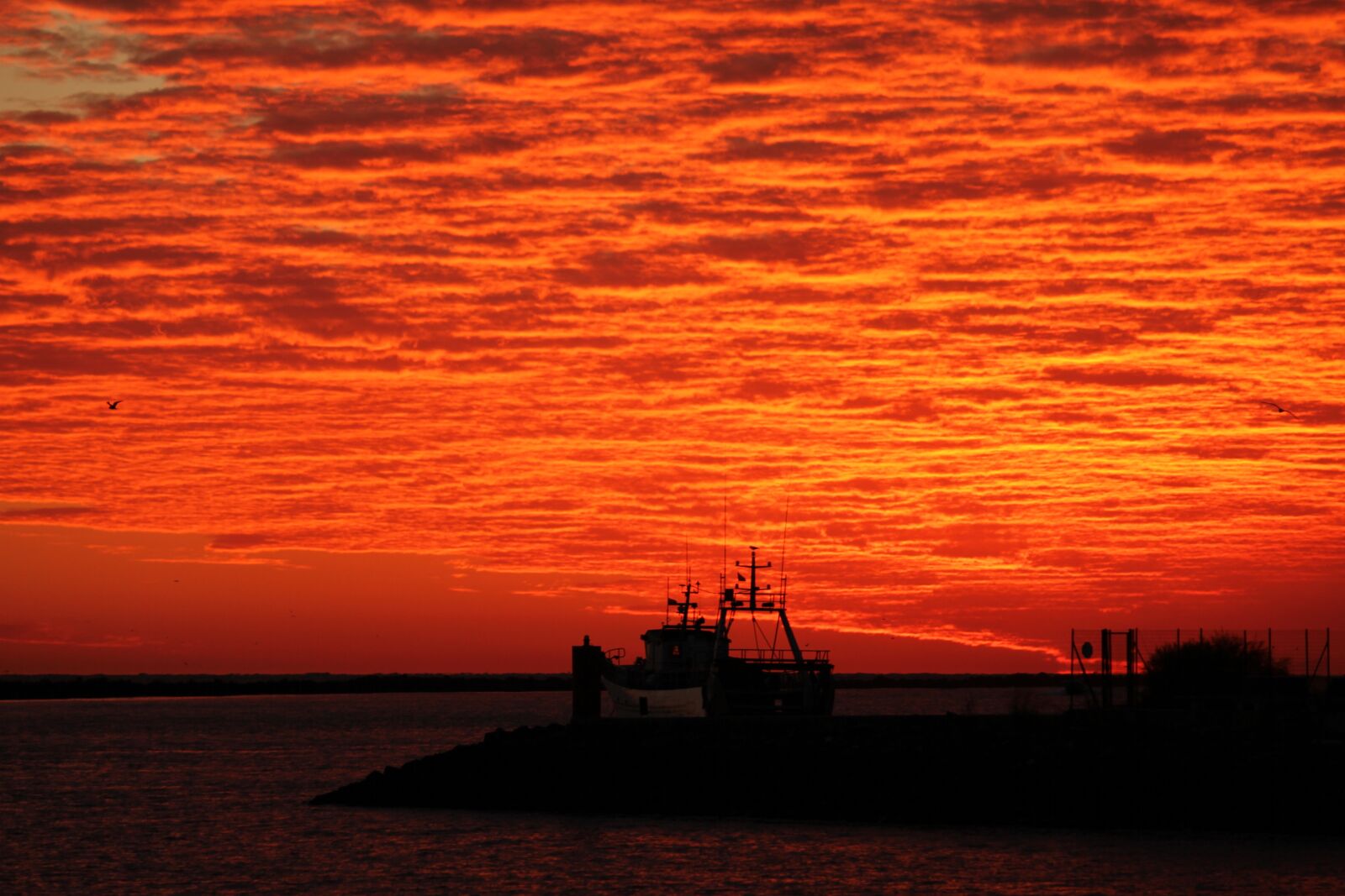 Canon EOS 550D (EOS Rebel T2i / EOS Kiss X4) sample photo. Dawn, puntadelmoral, ayamonte photography