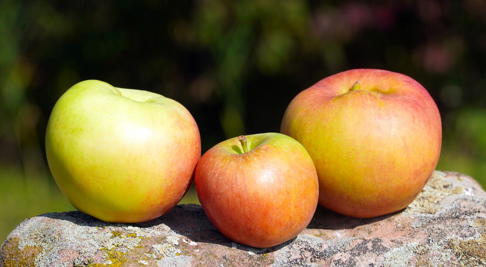 Sony E PZ 18-105mm F4 G OSS sample photo. Apples, fruits, fresh photography