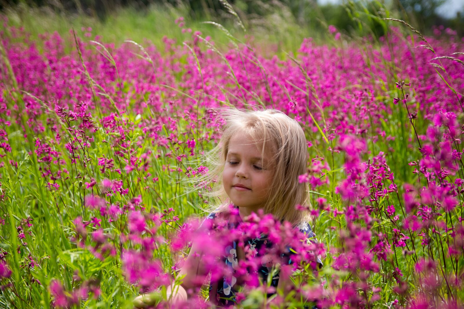 Canon EOS 700D (EOS Rebel T5i / EOS Kiss X7i) sample photo. Baby, girl, field photography
