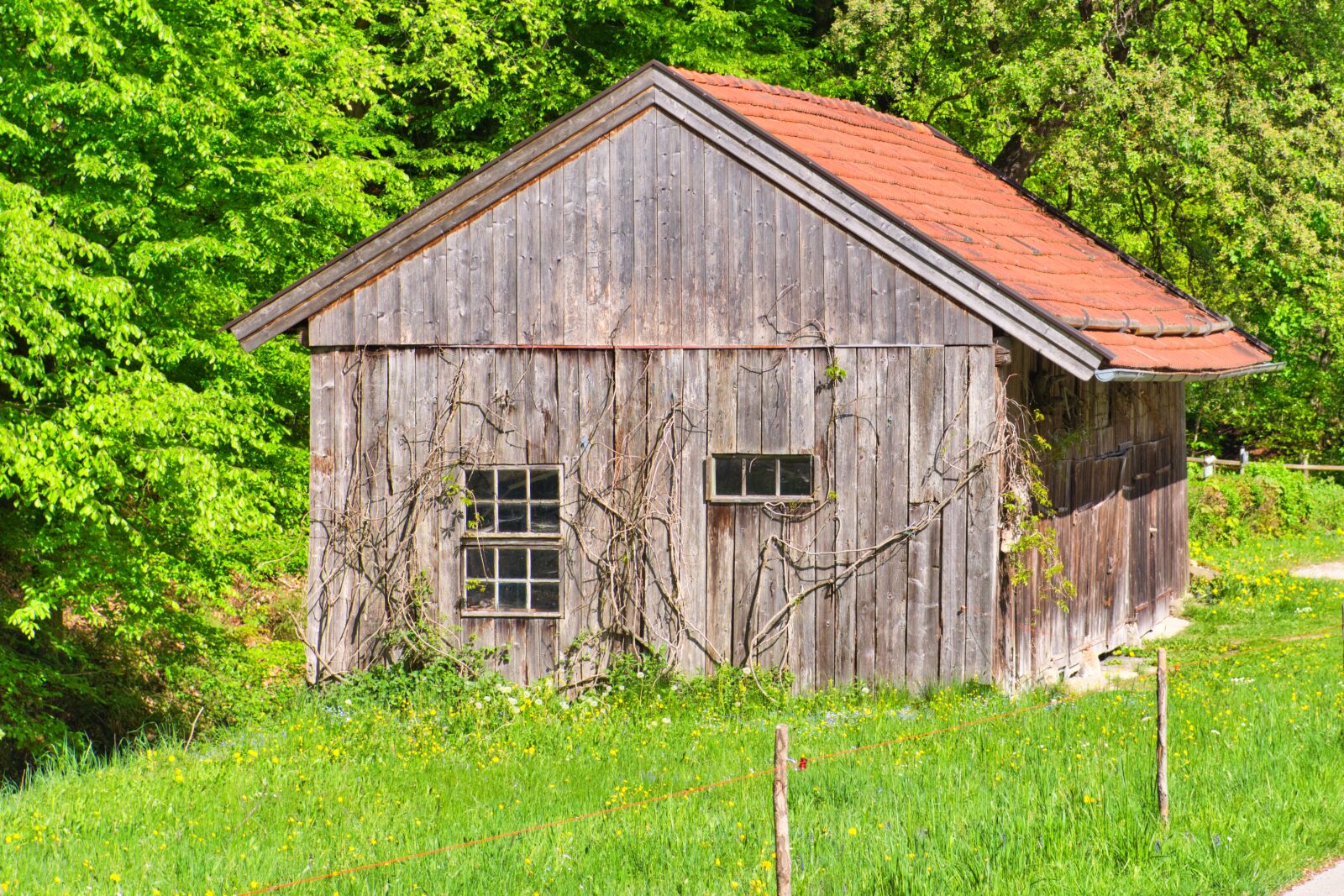 Nikon D7500 sample photo. Field barn, barn, scale photography