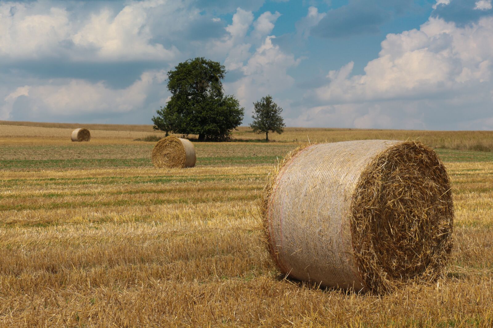 Canon EOS 700D (EOS Rebel T5i / EOS Kiss X7i) sample photo. Harvest, straw, agriculture photography