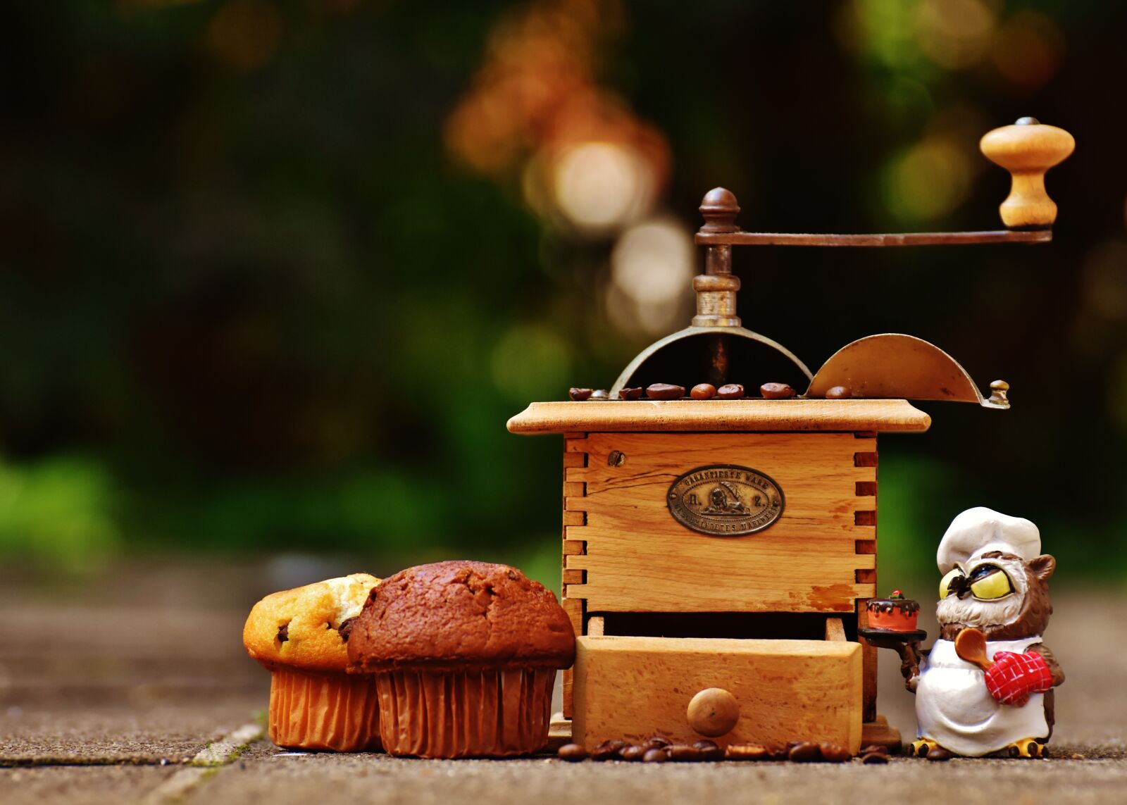 Nikon D7200 sample photo. Grinder, muffin, owl photography