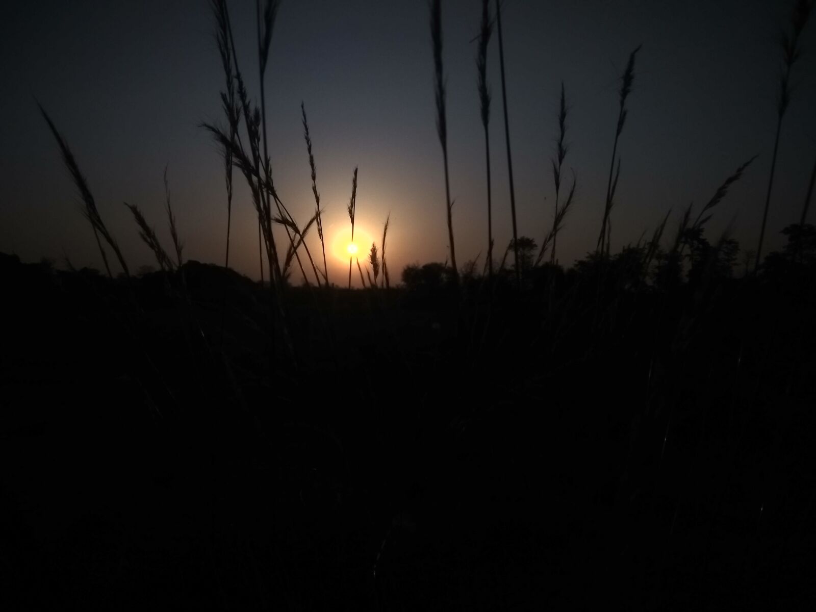 Xiaomi Redmi Note 5A sample photo. Sunrise, freedom, summer photography