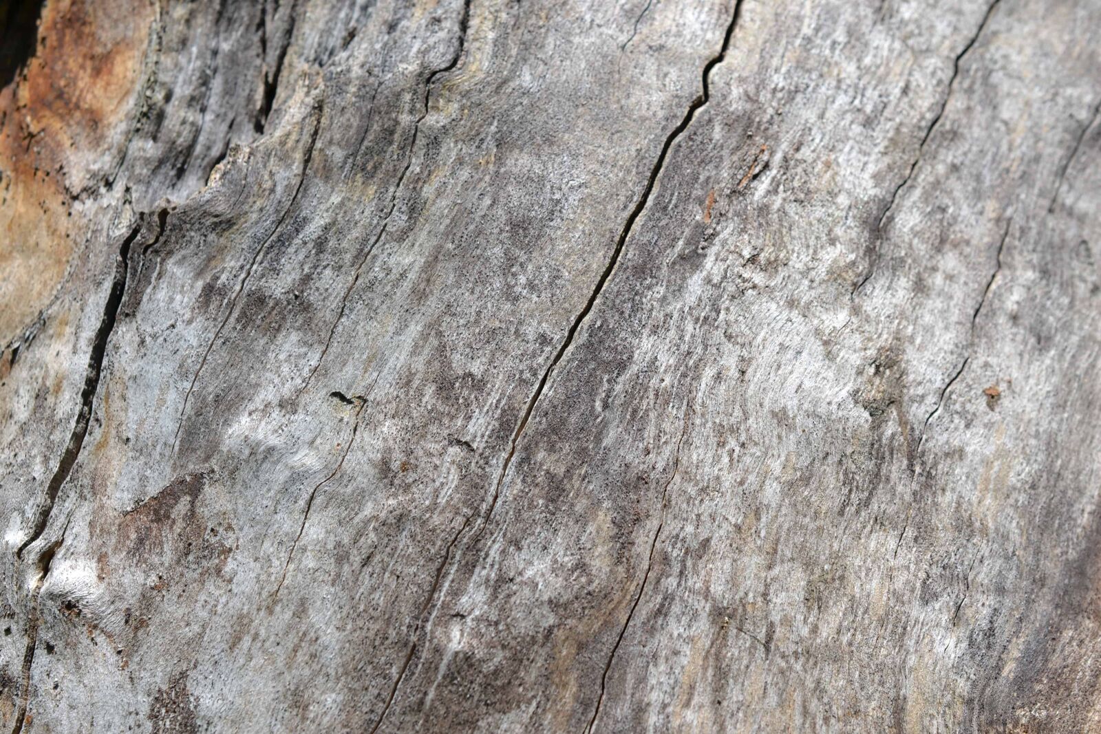 Nikon AF-S DX Micro Nikkor 40mm F2.8 sample photo. Wood, pattern, old, wall photography