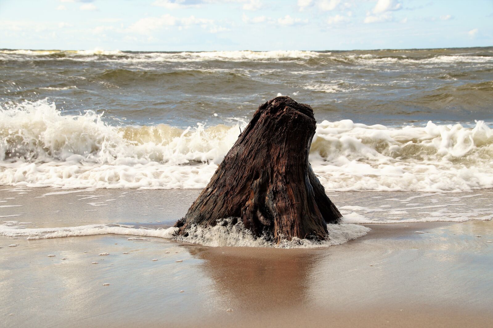 Sony SLT-A58 sample photo. Sea, washed up, strain photography