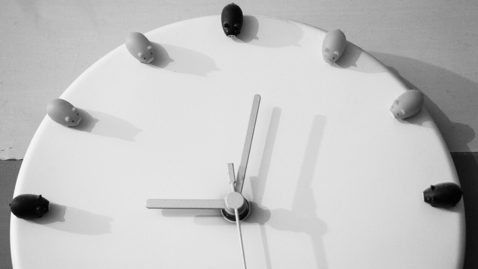 Canon EOS 70D sample photo. Time, clock, little pigs photography