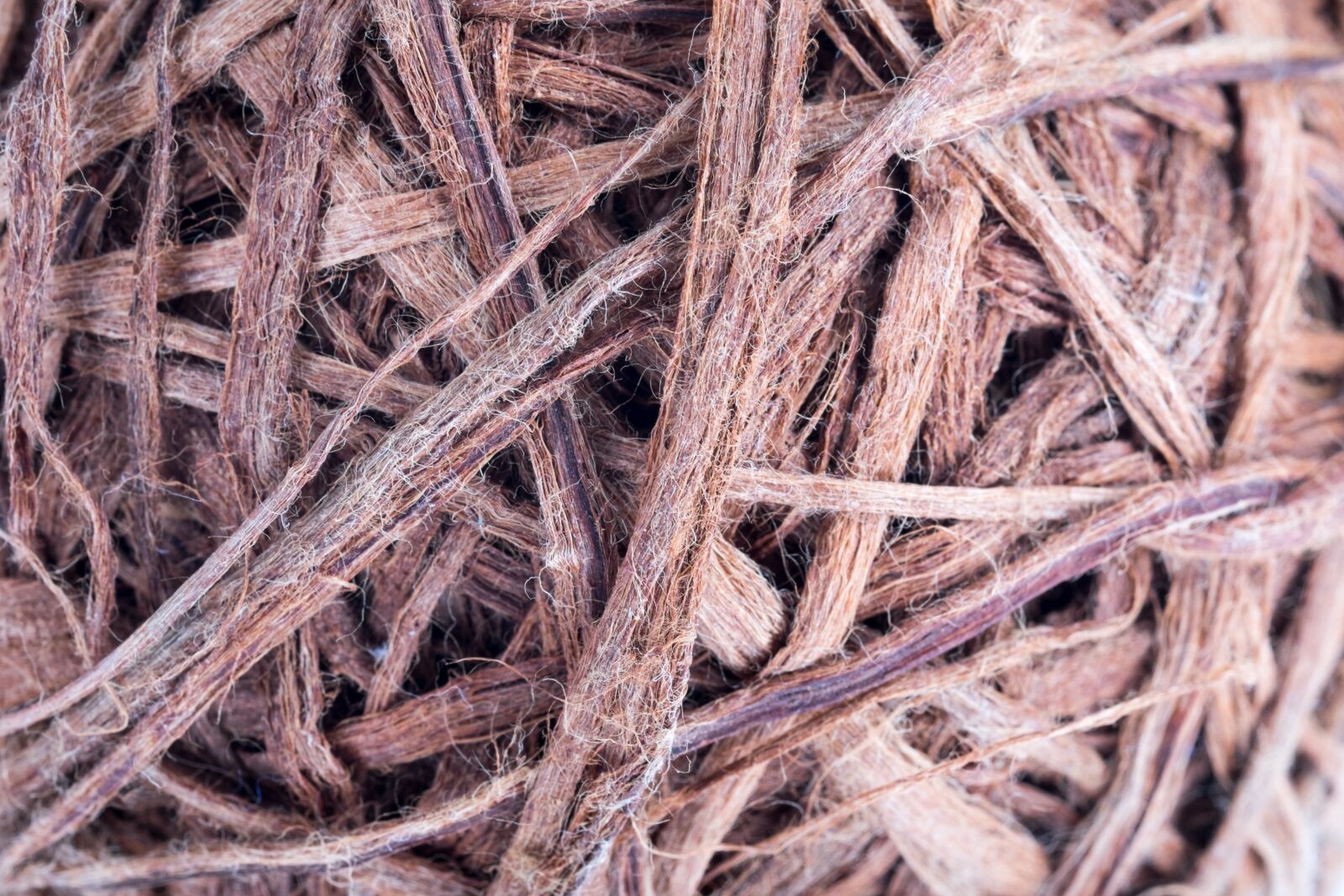 Fujifilm X-T1 + Fujifilm XF 60mm F2.4 R Macro sample photo. Weaving, patterns, thread photography