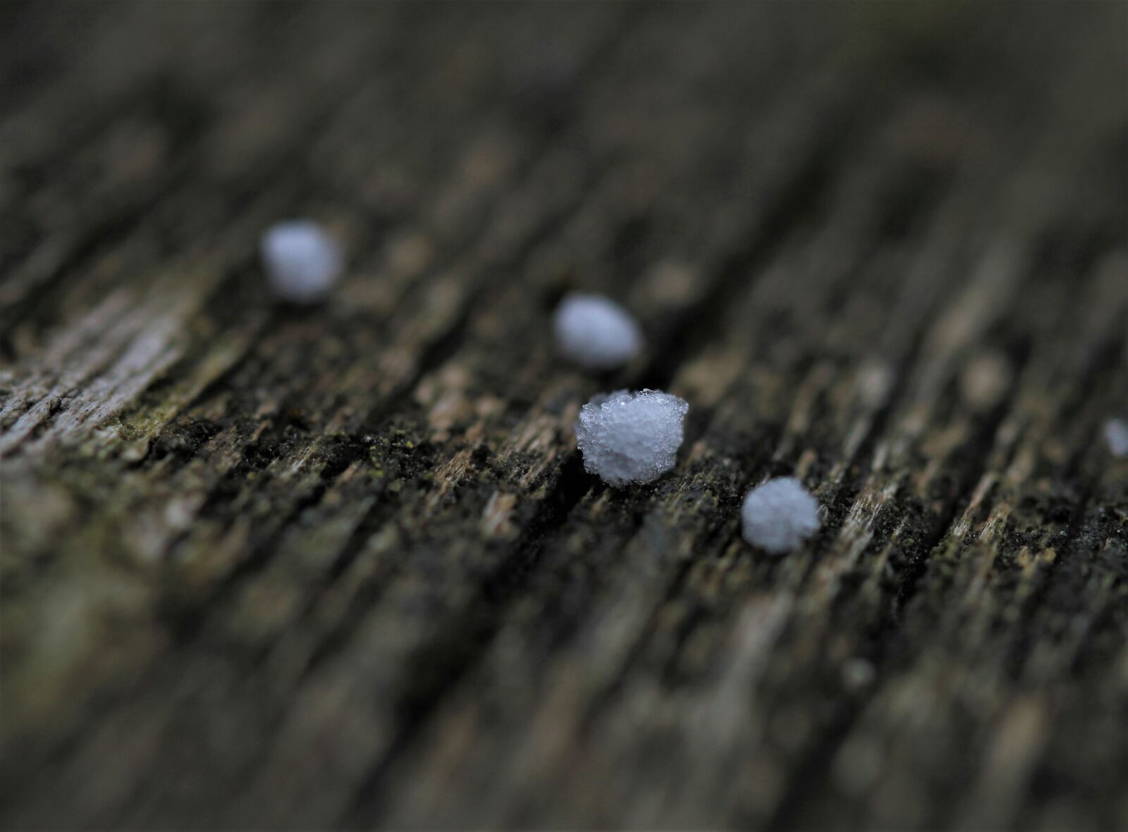 Canon EOS 7D sample photo. Sleet, snow, ice photography