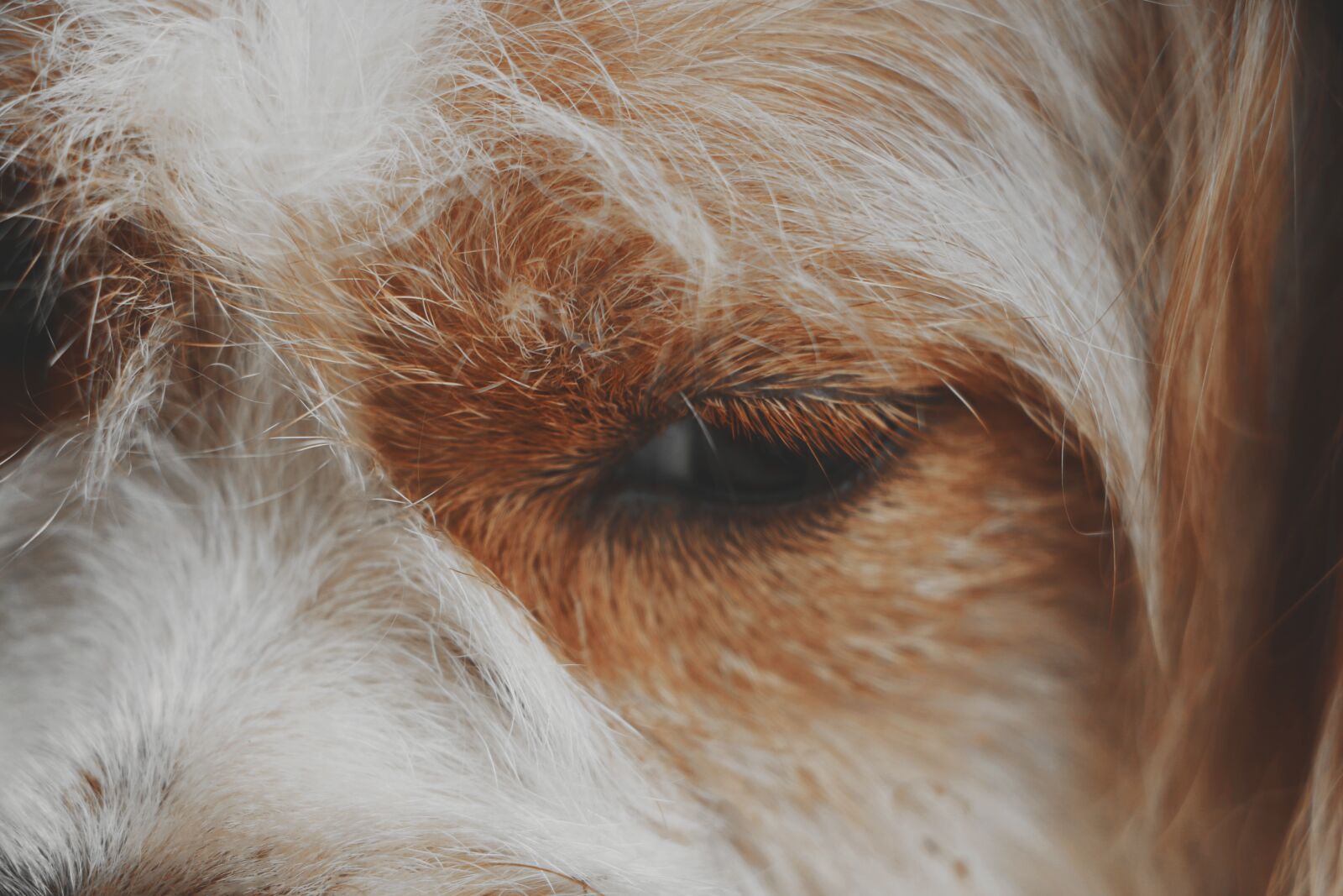 Canon EOS 70D sample photo