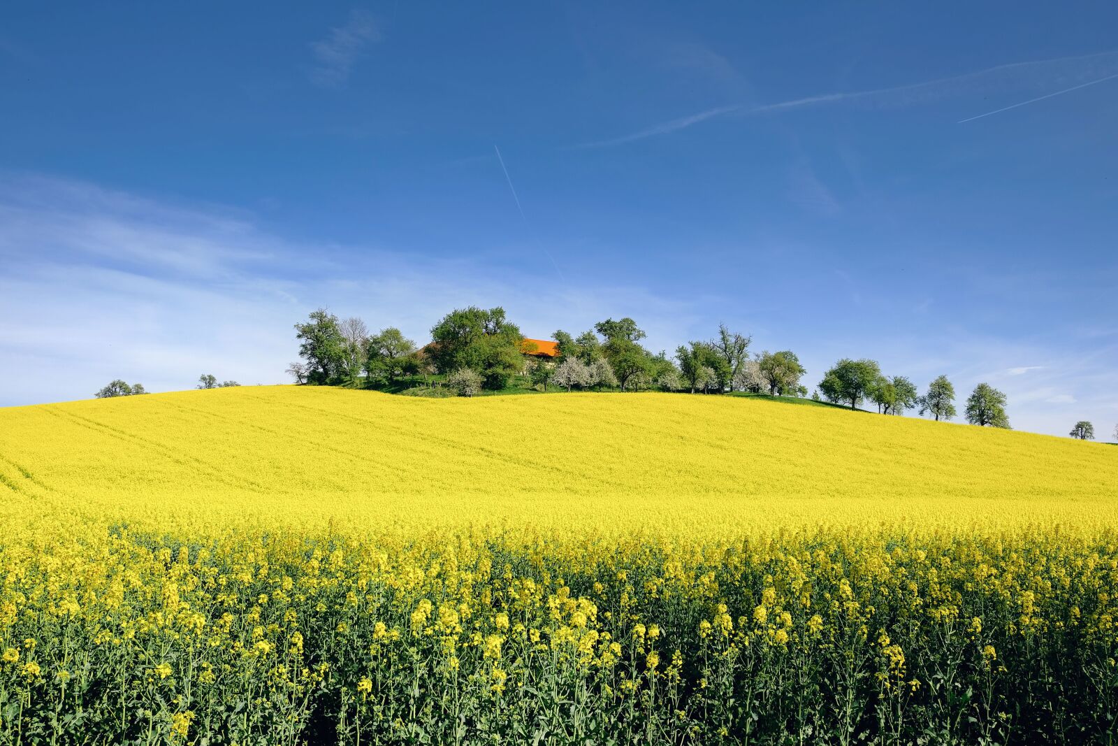 Fujifilm XC 15-45mm F3.5-5.6 OIS PZ sample photo. Nature, landscape, spring photography