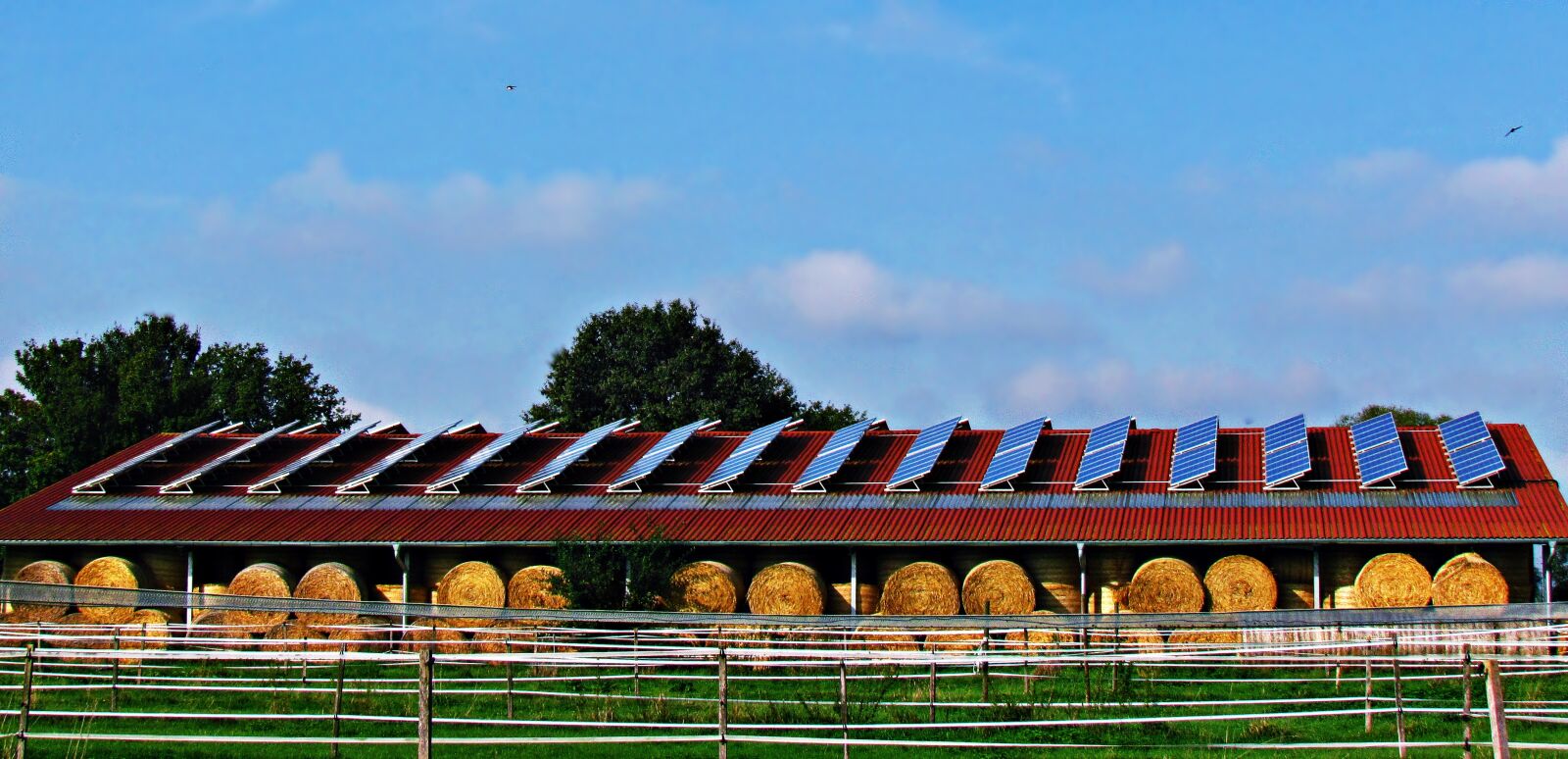 Canon PowerShot SX30 IS sample photo. Field, meadow, hay photography