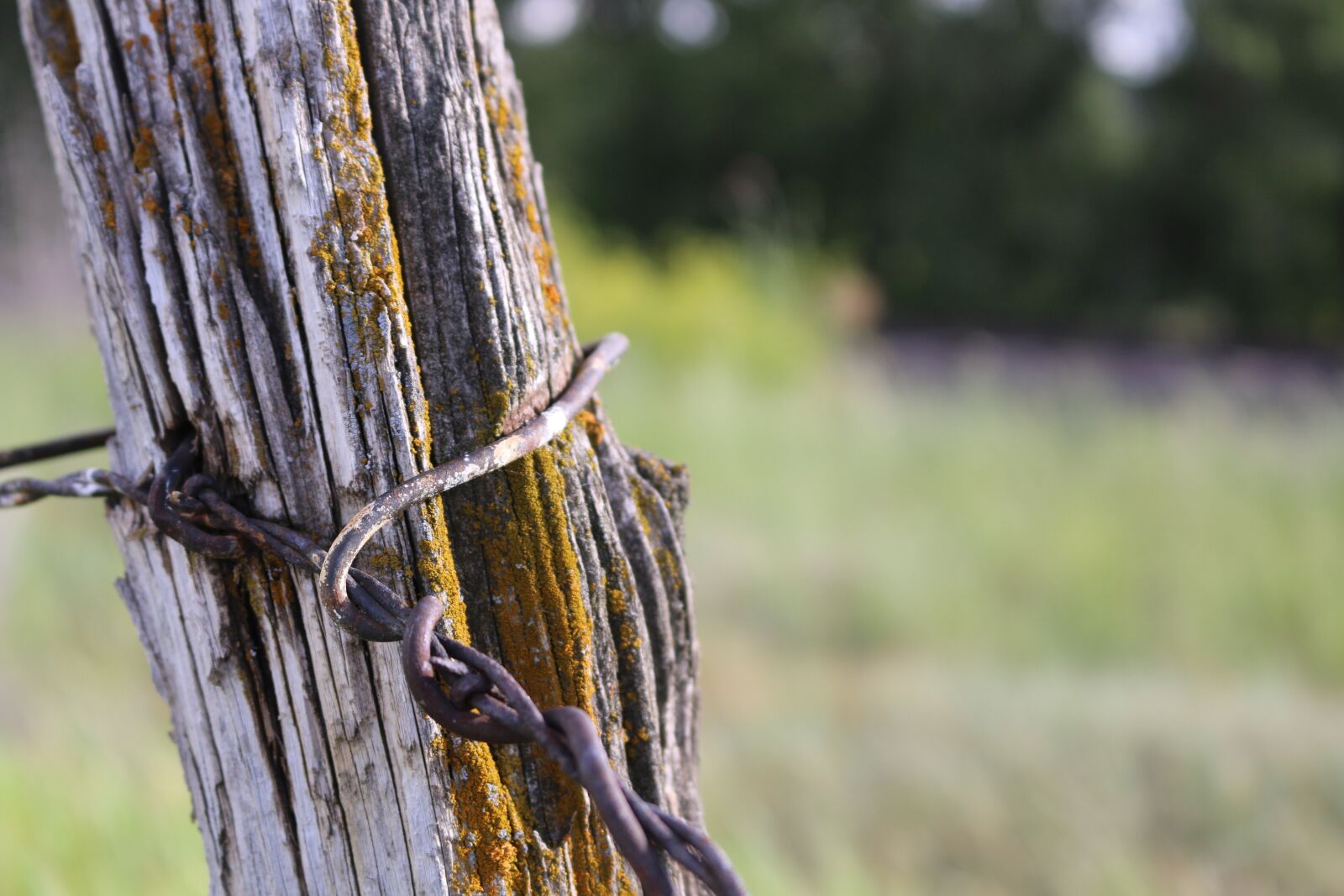 Canon EOS 70D + Canon EF-S 18-55mm F3.5-5.6 IS STM sample photo. Barbed wire, fence, post photography