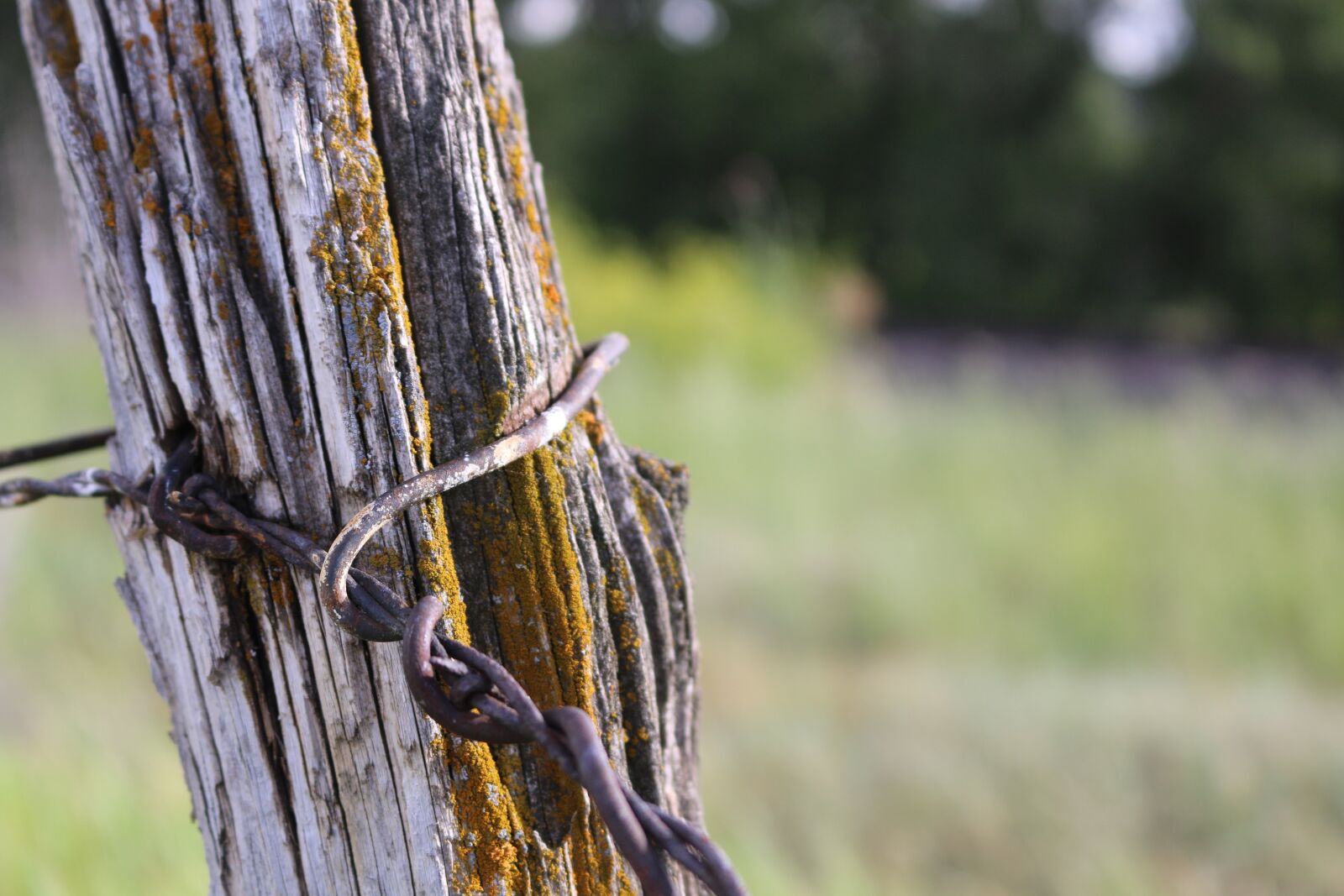 Canon EOS 70D sample photo. Barbed wire, fence, post photography