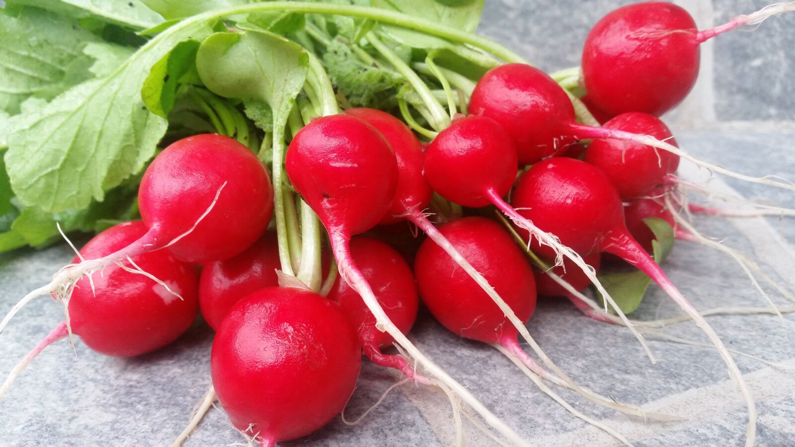 Samsung Galaxy S5 sample photo. Vegetables, radish, fresh photography