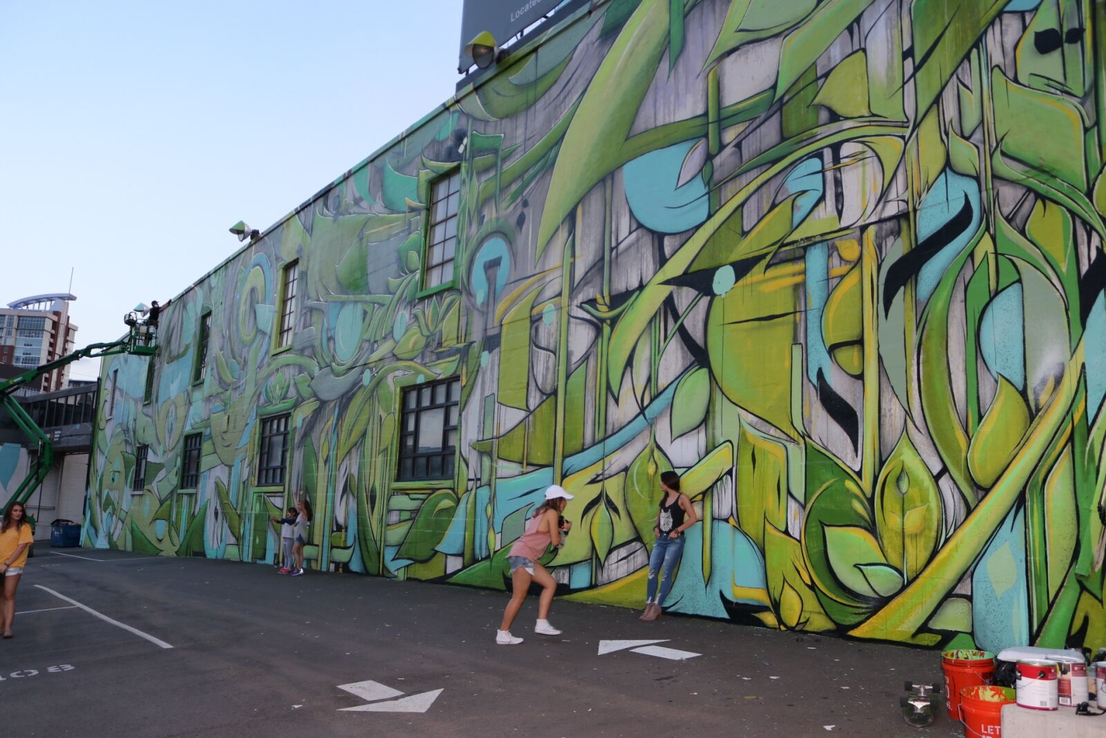 Canon EOS 80D sample photo. Graffiti, mural, wall art photography