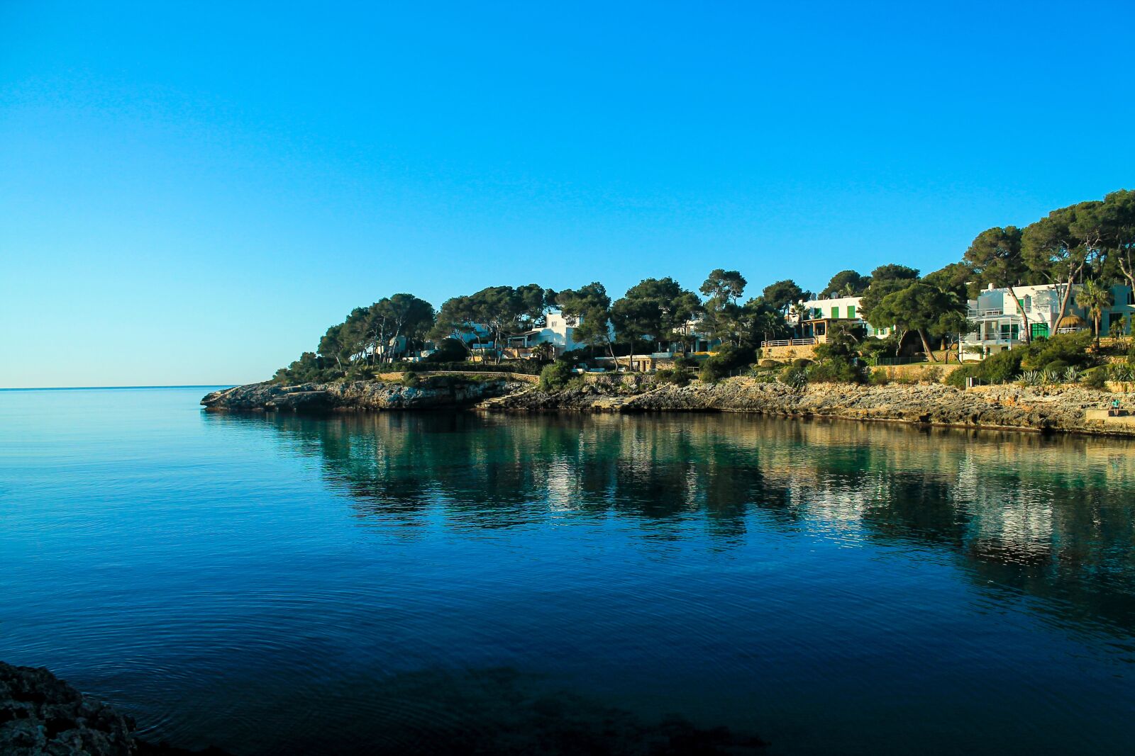 Canon EOS 1100D (EOS Rebel T3 / EOS Kiss X50) sample photo. Sea, trees, mallorca photography