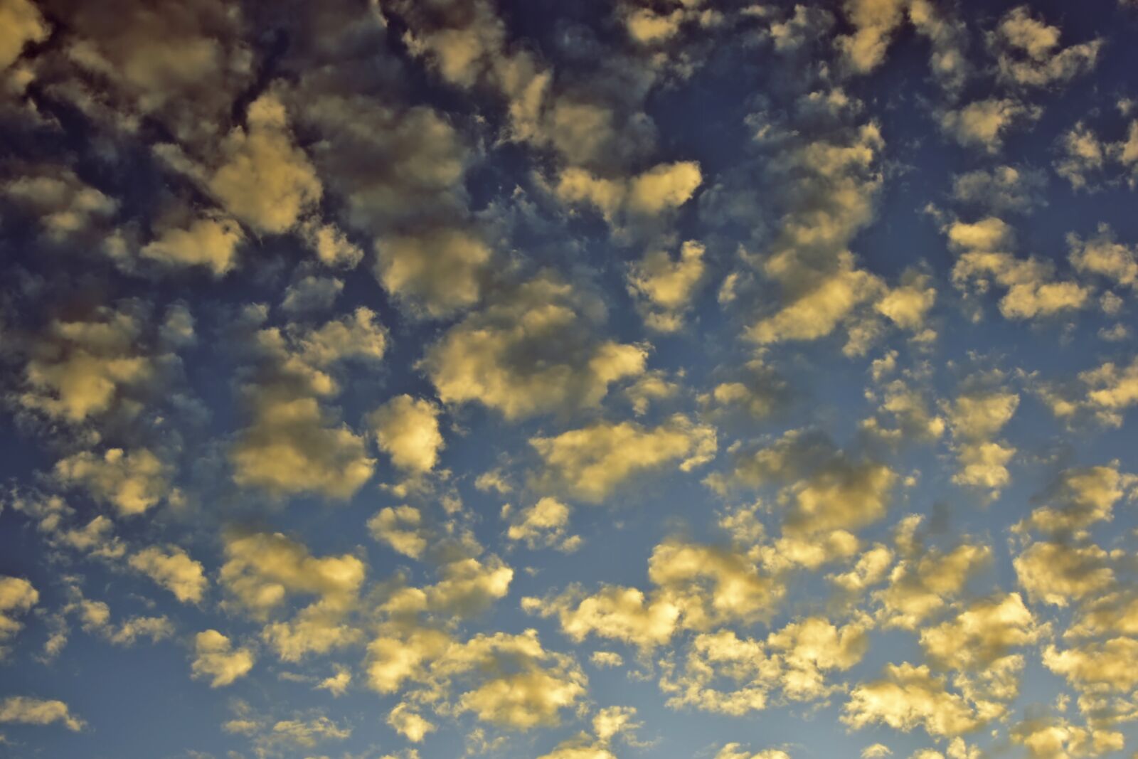 Nikon D5600 sample photo. Clouds, sky, evening light photography