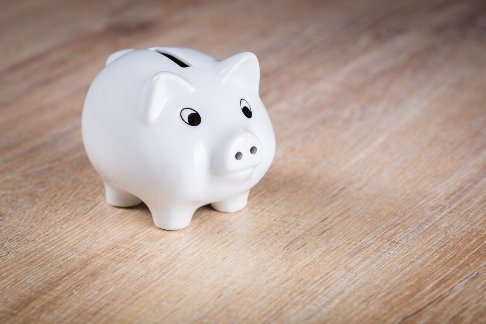 Canon EF 100mm F2.8 Macro USM sample photo. Piggy bank, save, piglet photography