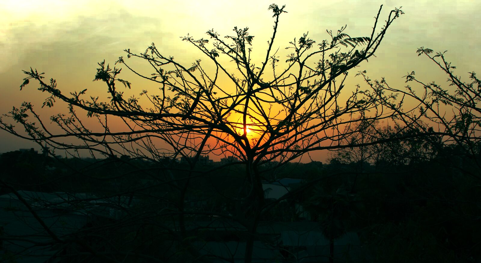 Canon EOS 60D sample photo. Sun, natural, sunset photography