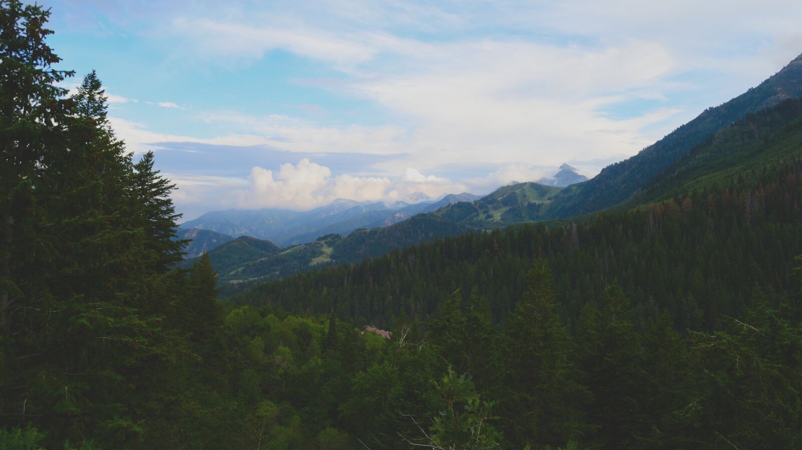 Nikon D3100 sample photo. Mountain, forest, nature photography