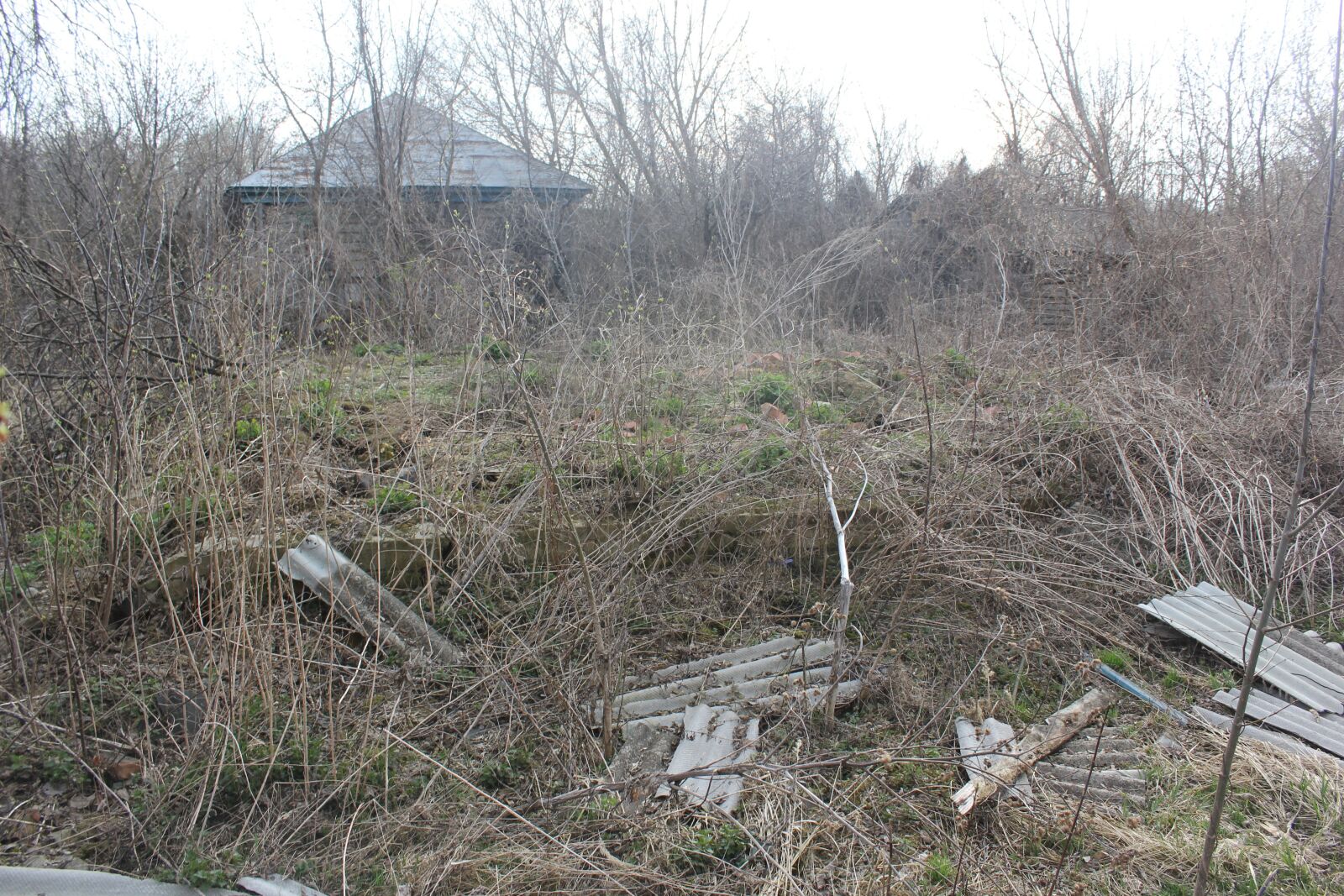 Canon EOS 550D (EOS Rebel T2i / EOS Kiss X4) sample photo. The ruins of the photography