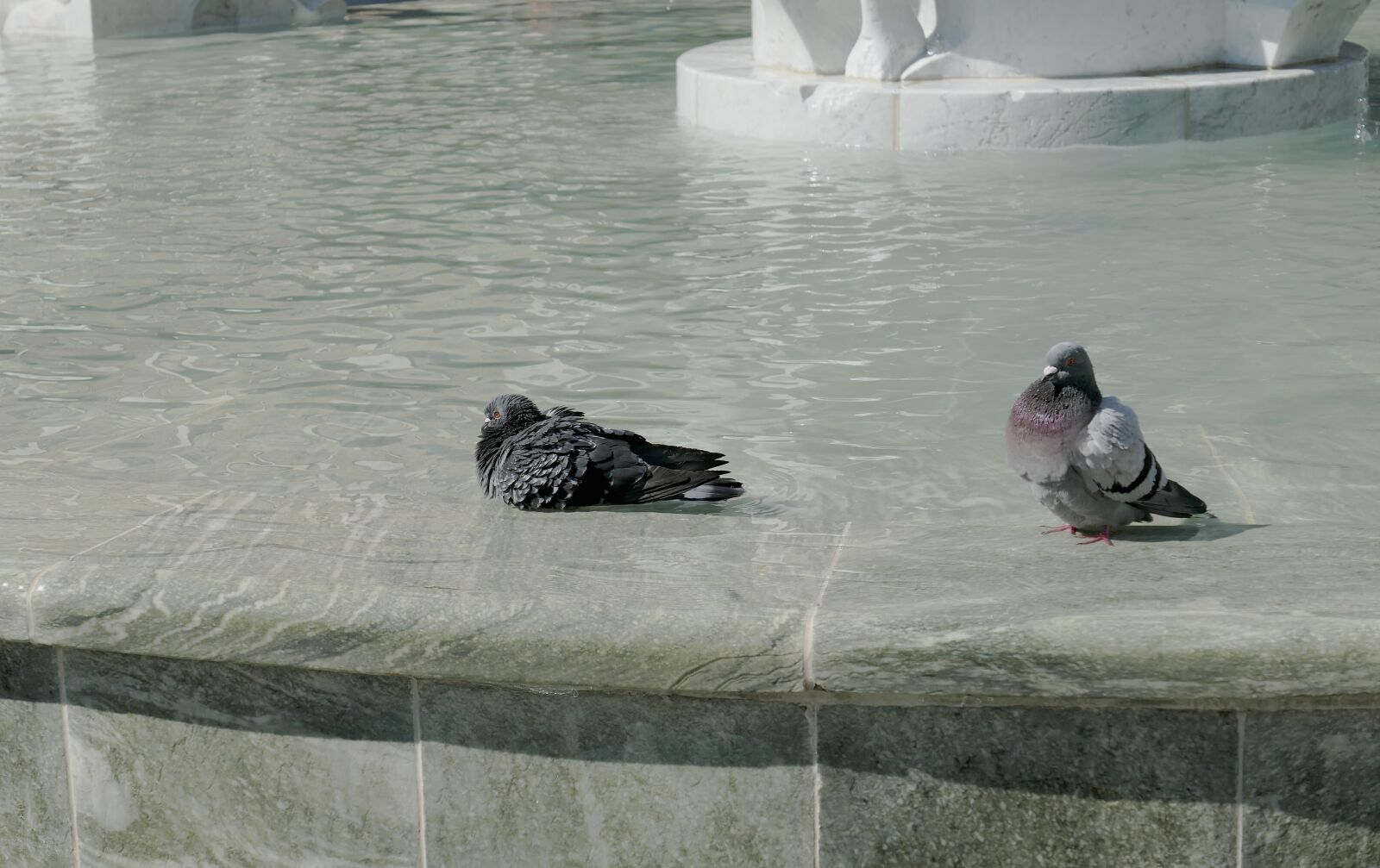 Panasonic Lumix DMC-LX10 (Lumix DMC-LX15) sample photo. Fountain, water, water feature photography