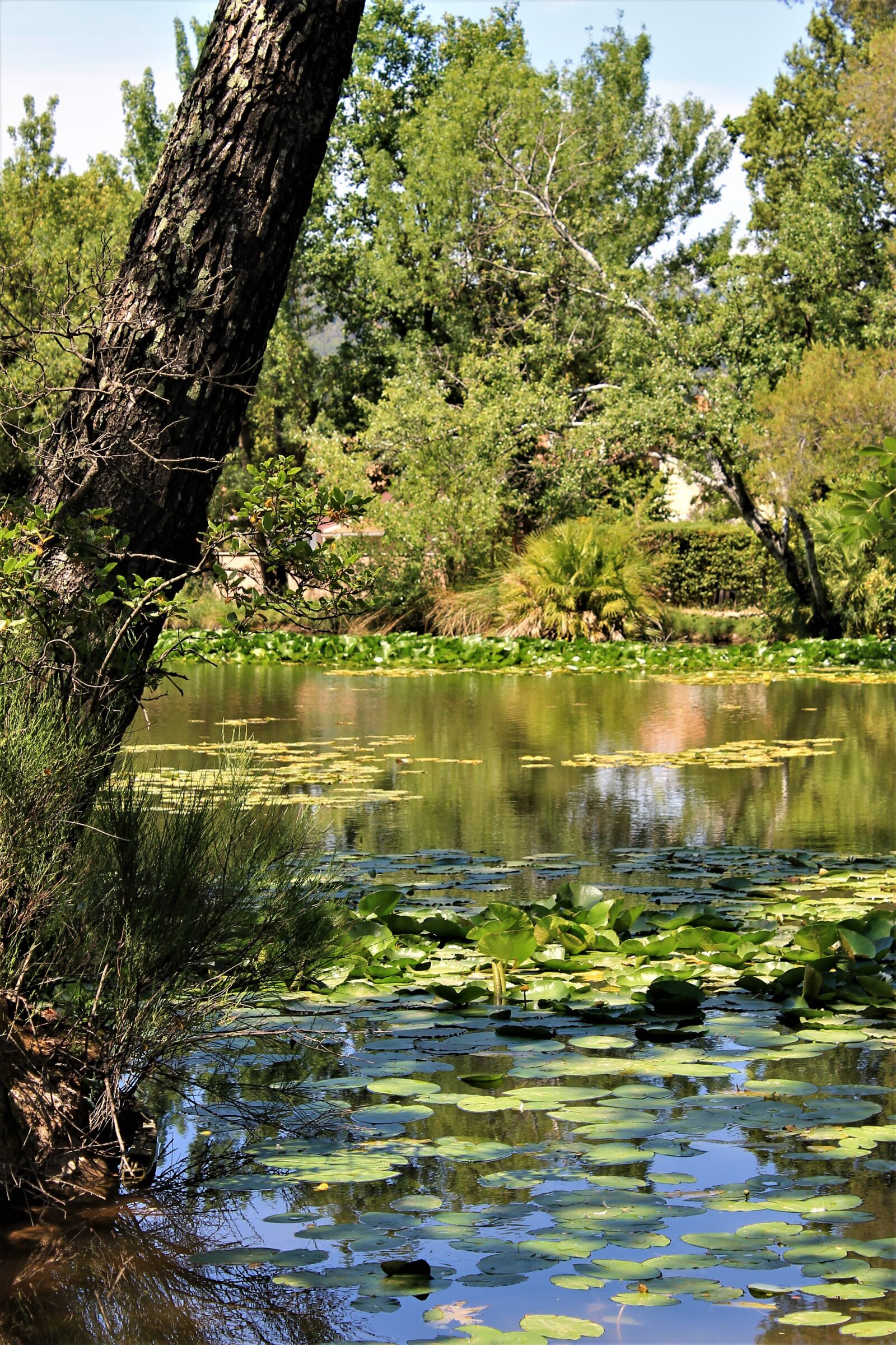 Canon EOS 1100D (EOS Rebel T3 / EOS Kiss X50) sample photo. Lake, sollies pont, provence photography