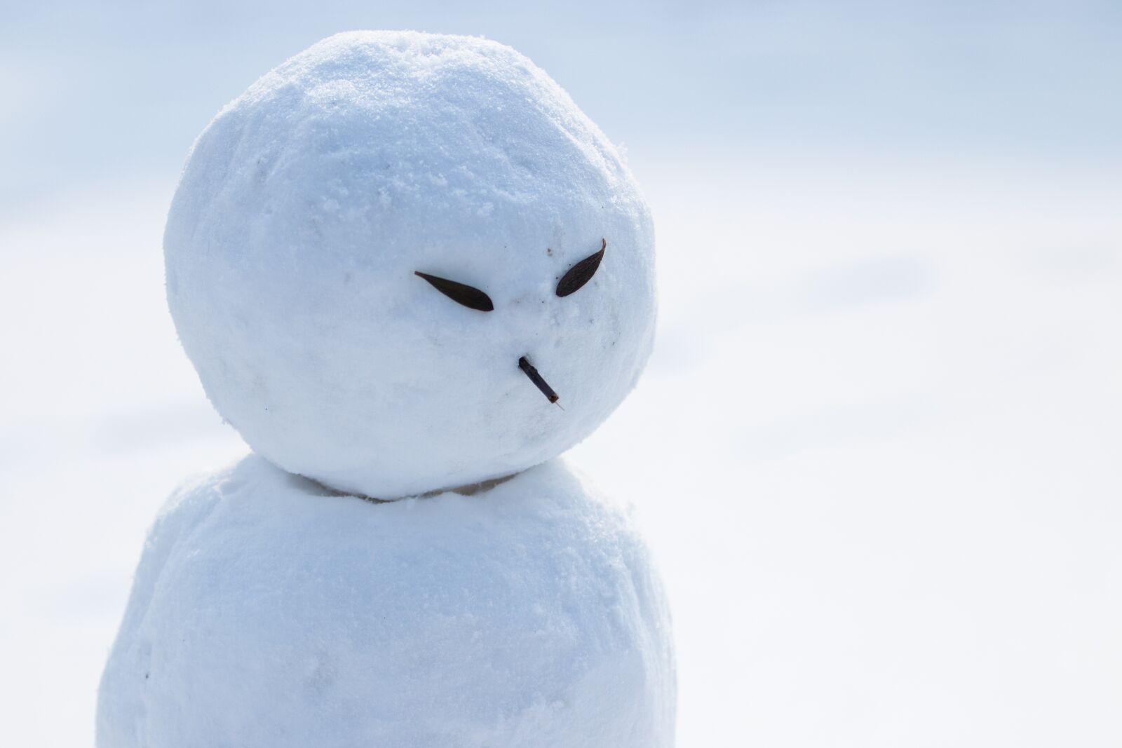 Canon EF 70-200mm F2.8L USM sample photo. Snow, snowman, winter photography