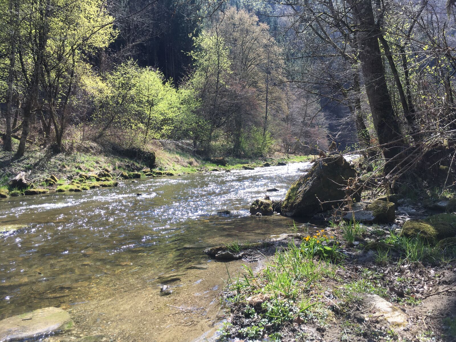 iPhone SE back camera 4.15mm f/2.2 sample photo. Nature, river, water photography