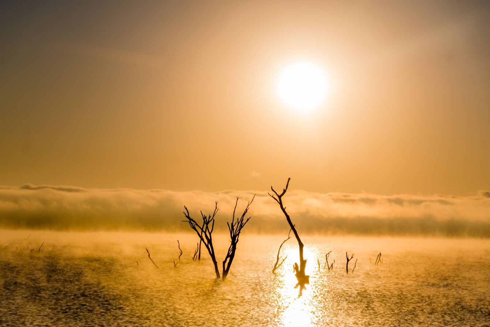 Nikon D7500 sample photo. Morning, sunday, sun photography