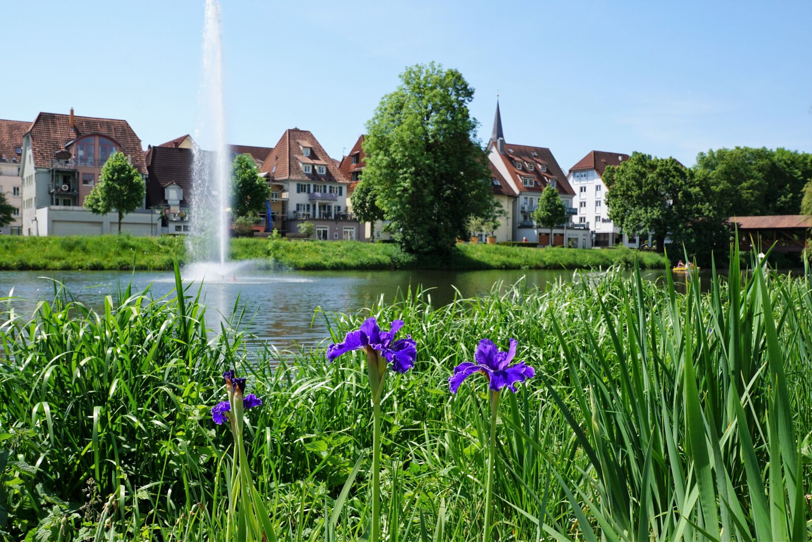 Sony ILCA-77M2 + Sony DT 16-50mm F2.8 SSM sample photo. Danube, tuttlingen, green photography