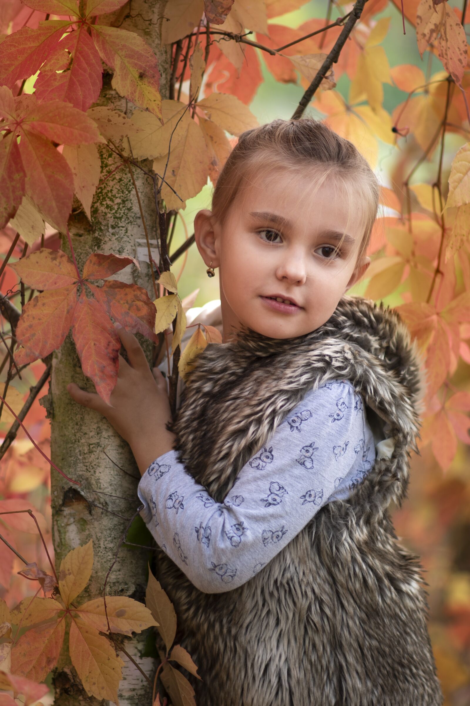 Nikon D750 sample photo. Autumn, colors, mood photography