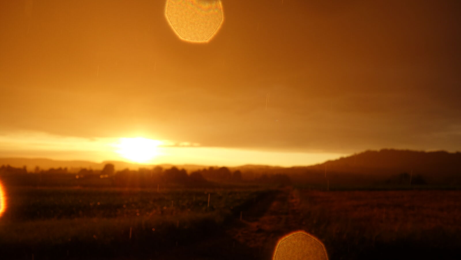 Sony Cyber-shot DSC-RX100 sample photo. Fields, golden, sunset, rain photography