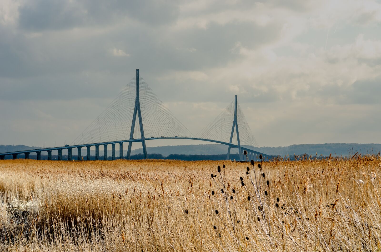 Nikon D7000 sample photo. Reed bed, normandy bridge photography