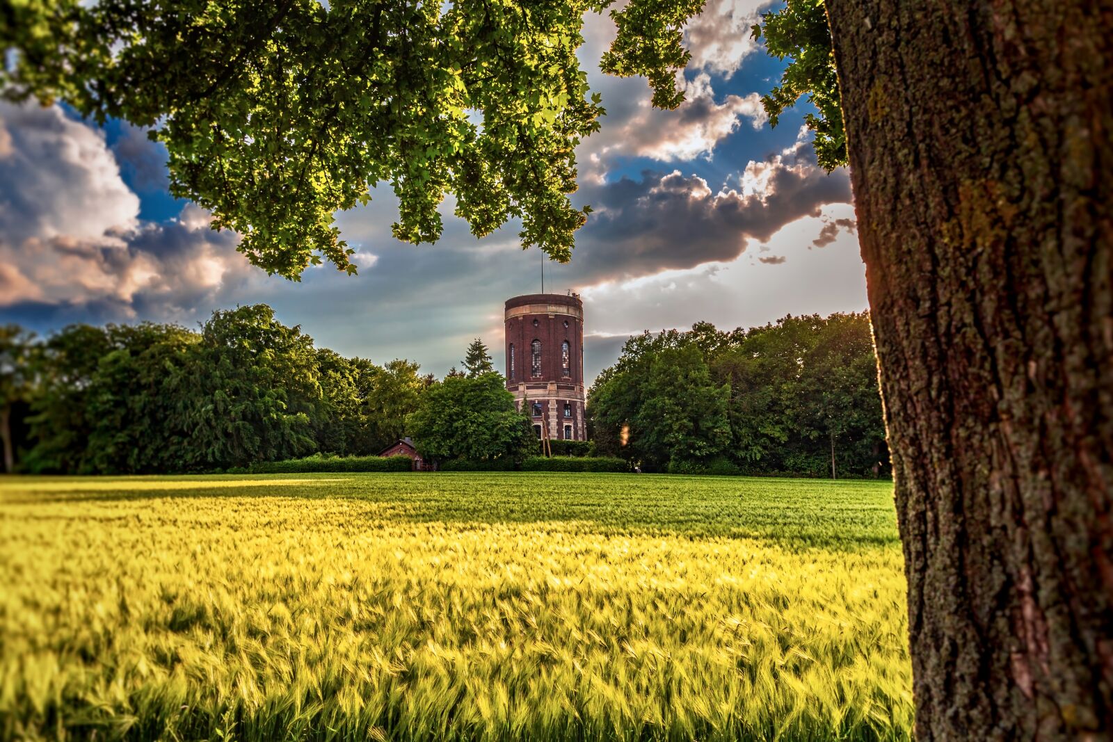 Canon EF 24-70mm F4L IS USM sample photo. Water tower, sunset, colourful photography