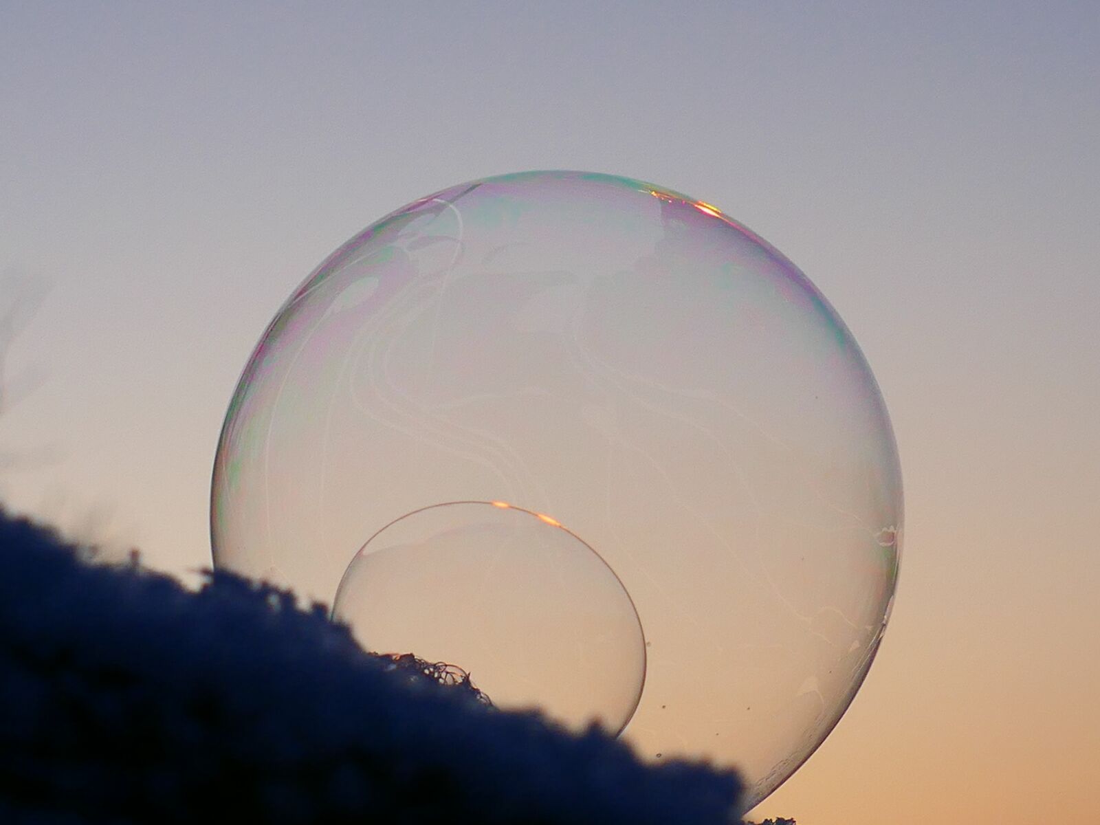 Panasonic Lumix DMC-FZ1000 sample photo. Soap bubble, winter, snow photography