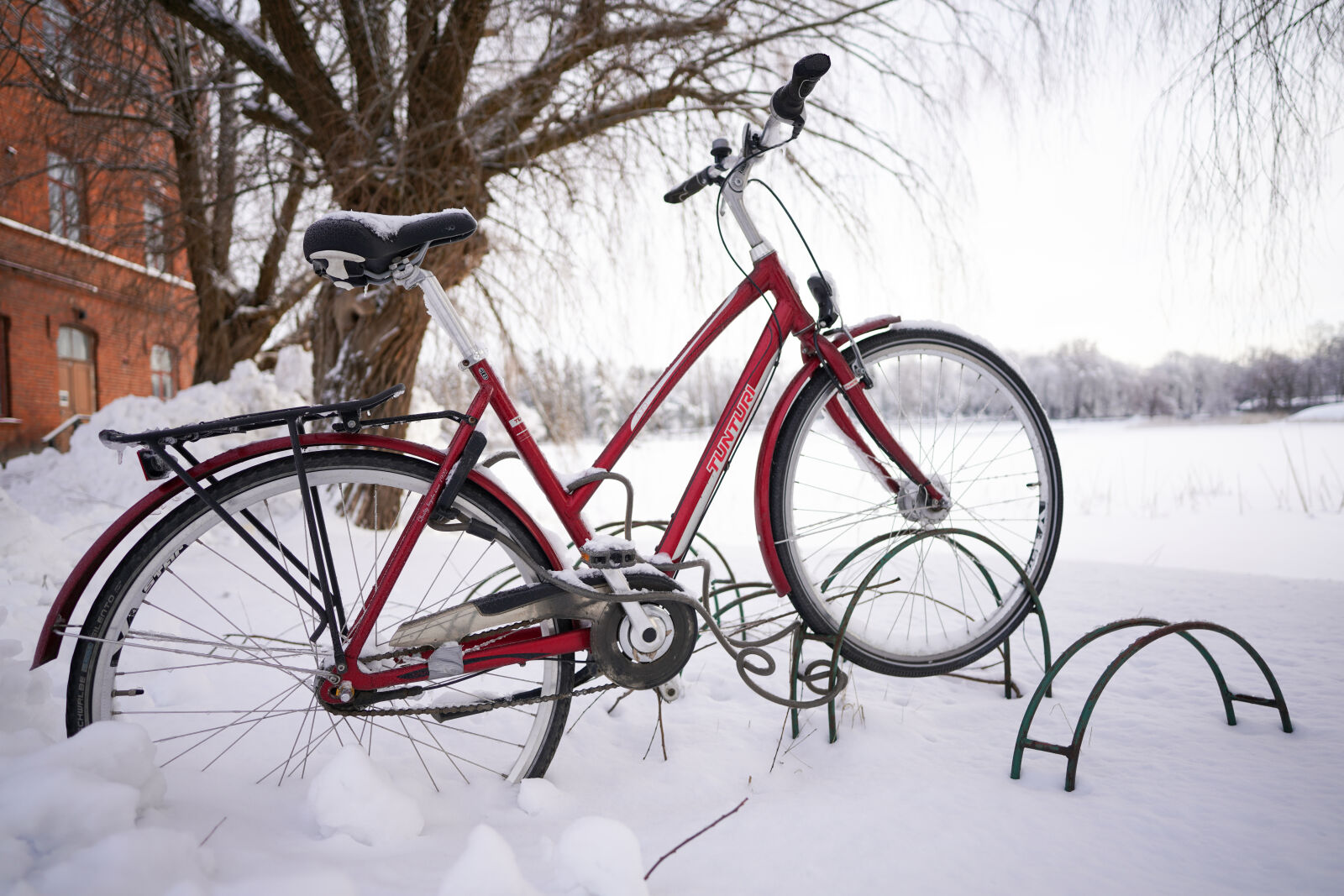 Sony a7R IV + Sigma 20mm F2.0 DG DN | C sample photo. Bicycle of snow photography