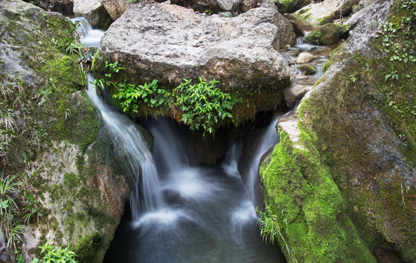 Canon EOS 700D (EOS Rebel T5i / EOS Kiss X7i) sample photo. Qingcheng mountain, gate, the photography