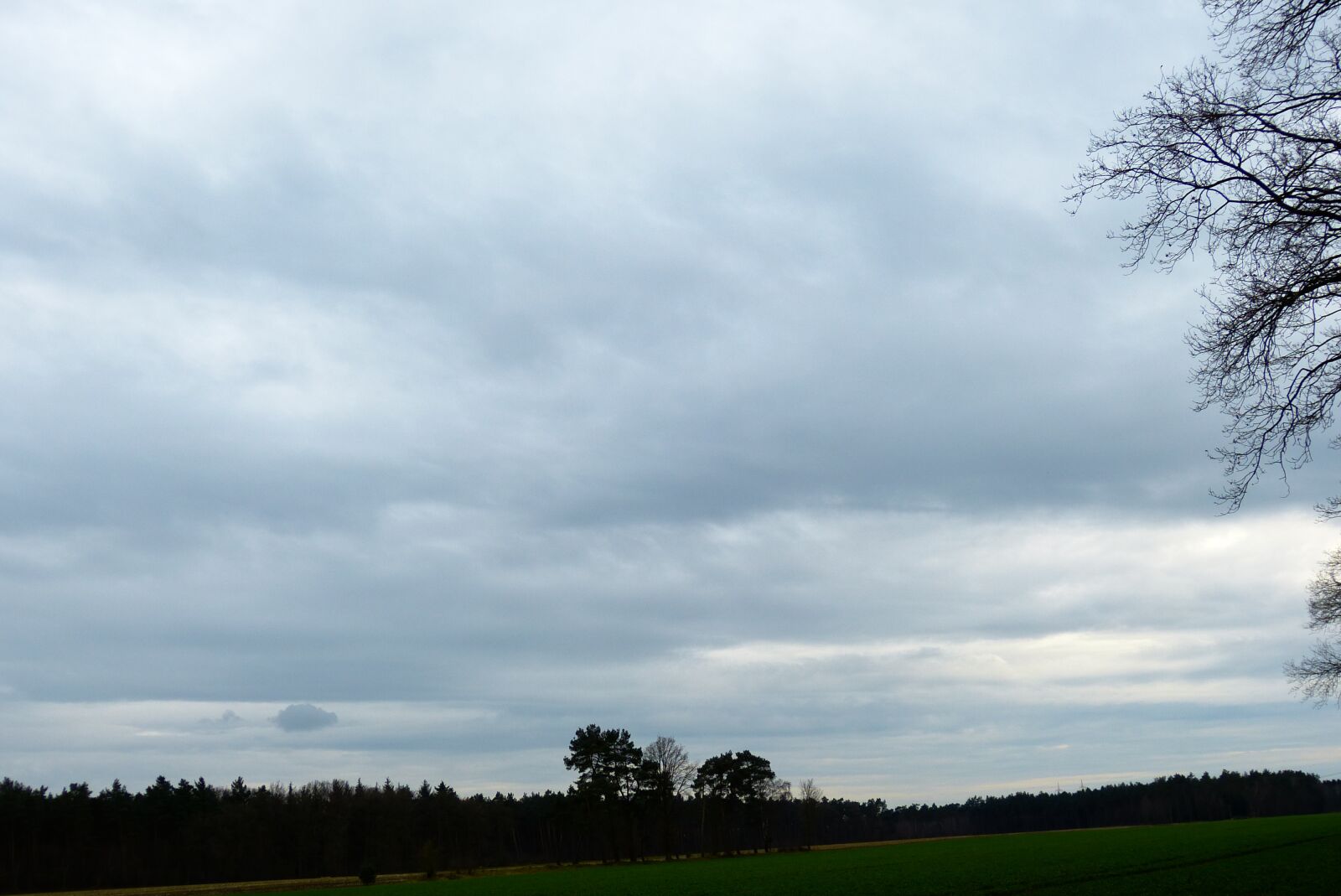 Panasonic Lumix DMC-FZ150 sample photo. Background, sky, field photography