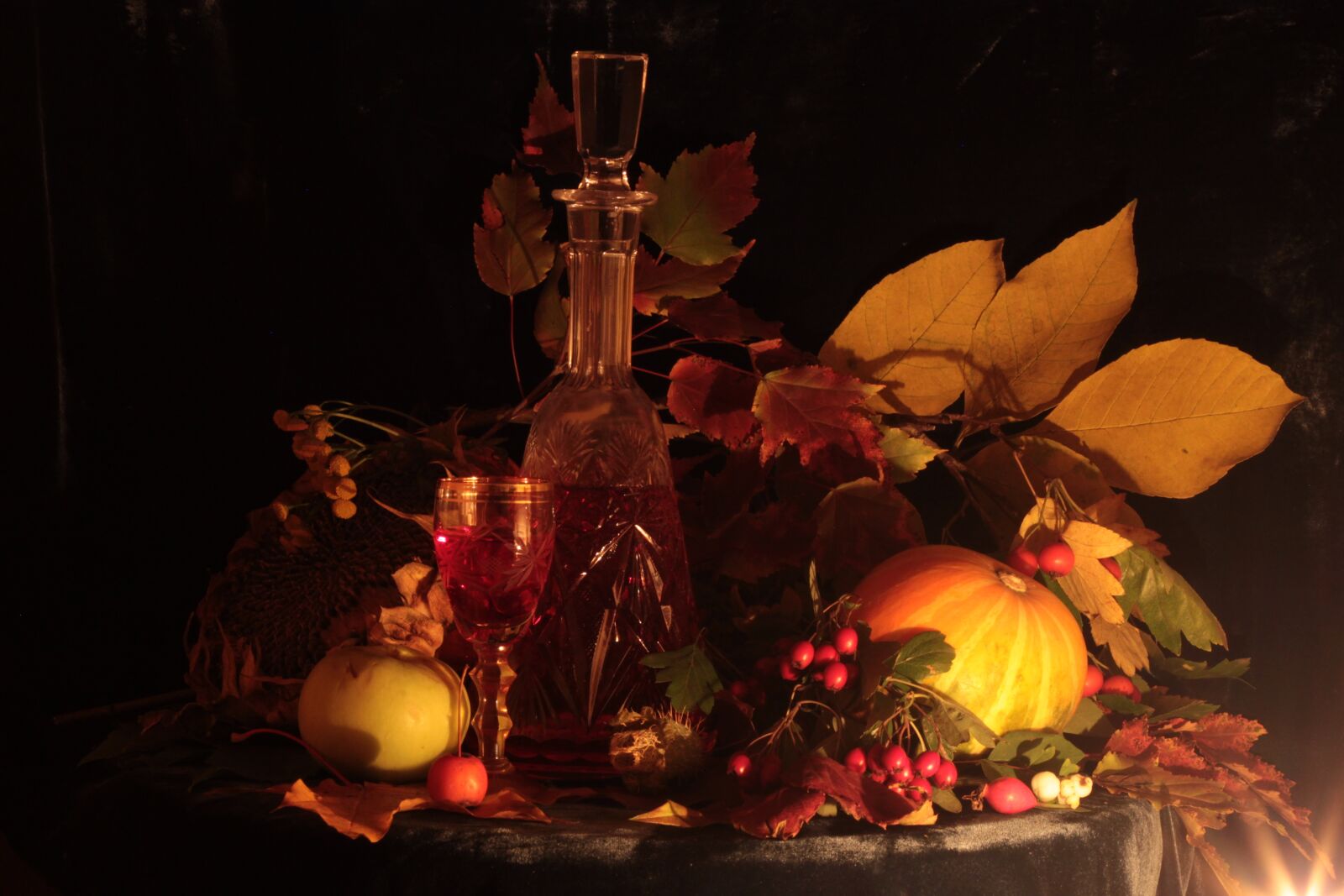 Canon EOS 500D (EOS Rebel T1i / EOS Kiss X3) sample photo. Autumn, still life, apples photography