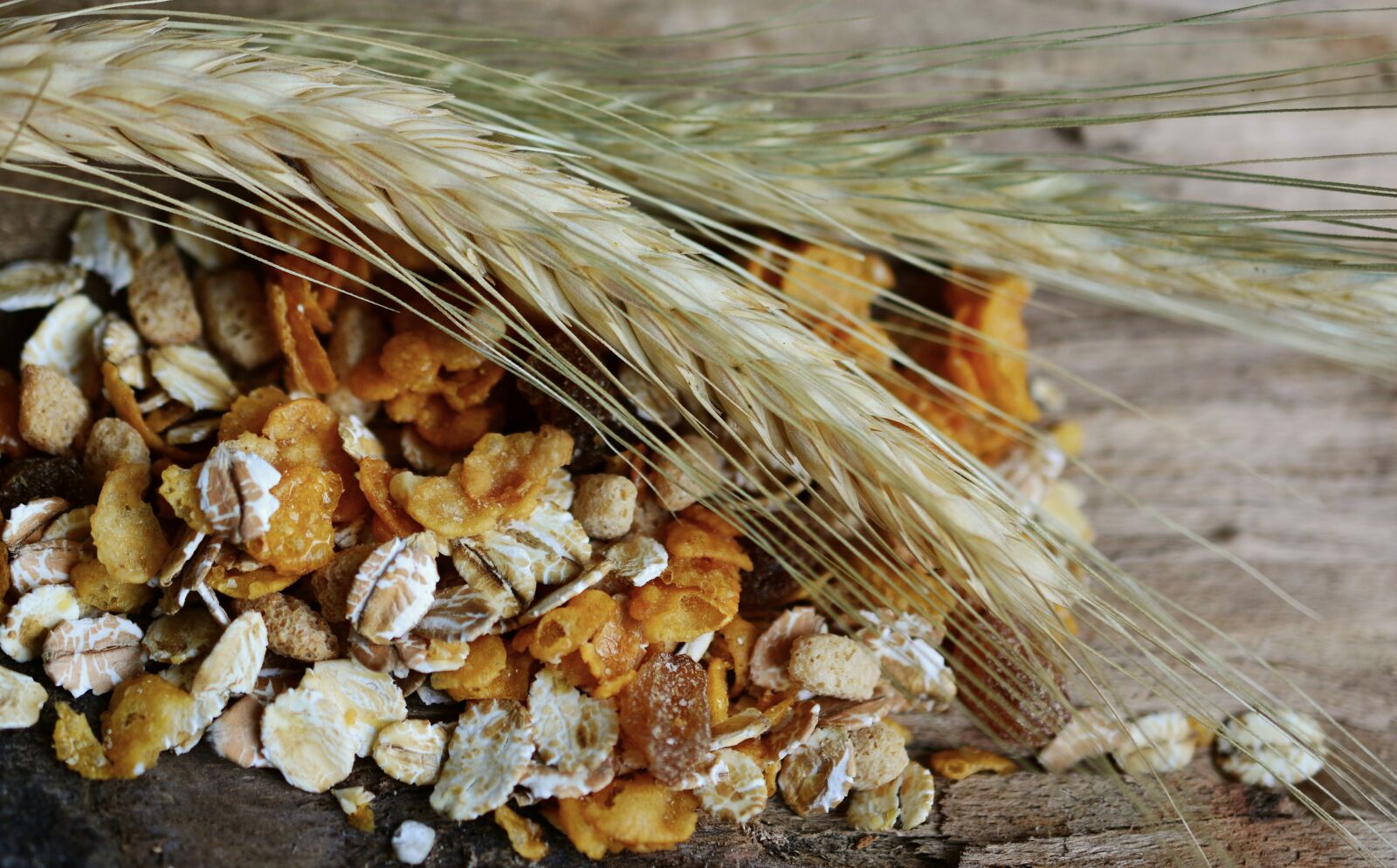 Nikon D5200 sample photo. Cereals, cornstalk, muesli photography