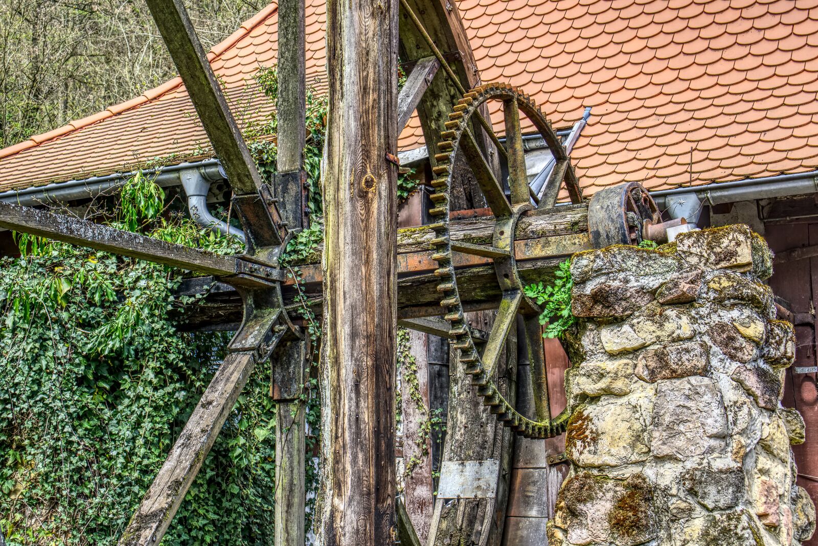 Sony a6000 + Sony E 35mm F1.8 OSS sample photo. Zahnrat, drive, mill wheel photography