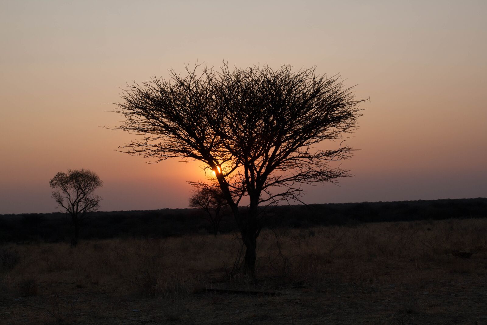 Canon EOS 400D (EOS Digital Rebel XTi / EOS Kiss Digital X) sample photo. Namibia, sunset, africa photography