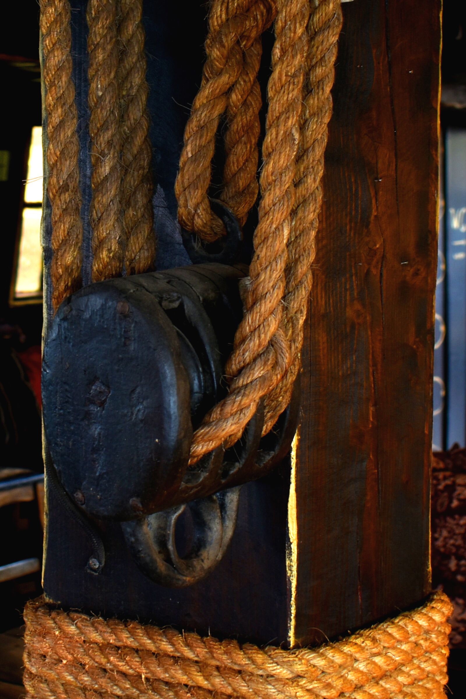 Nikon D3500 sample photo. Rope, ship, tie photography