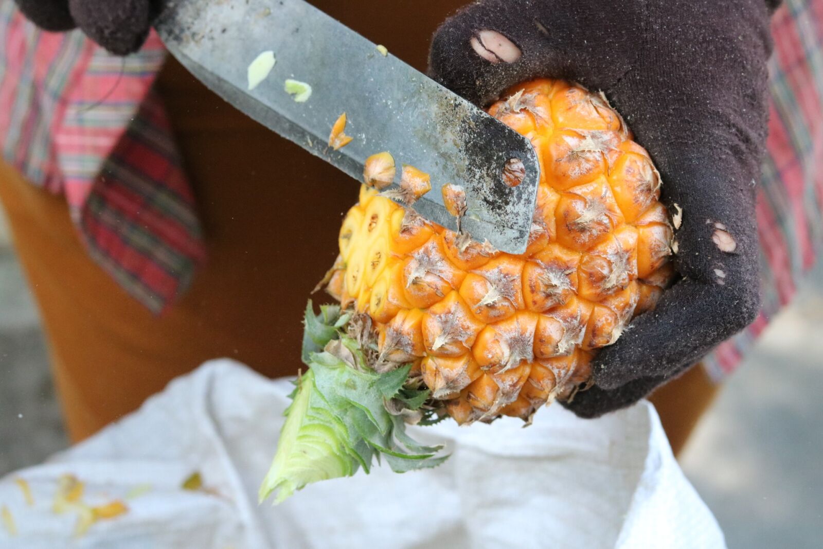 Canon EOS 750D (EOS Rebel T6i / EOS Kiss X8i) sample photo. Pineapple, fruit, street photography