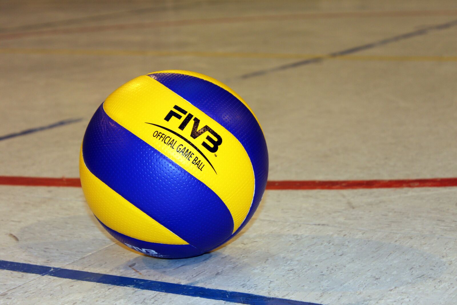 Canon EOS 500D (EOS Rebel T1i / EOS Kiss X3) sample photo. Volleyball, ball, sport photography