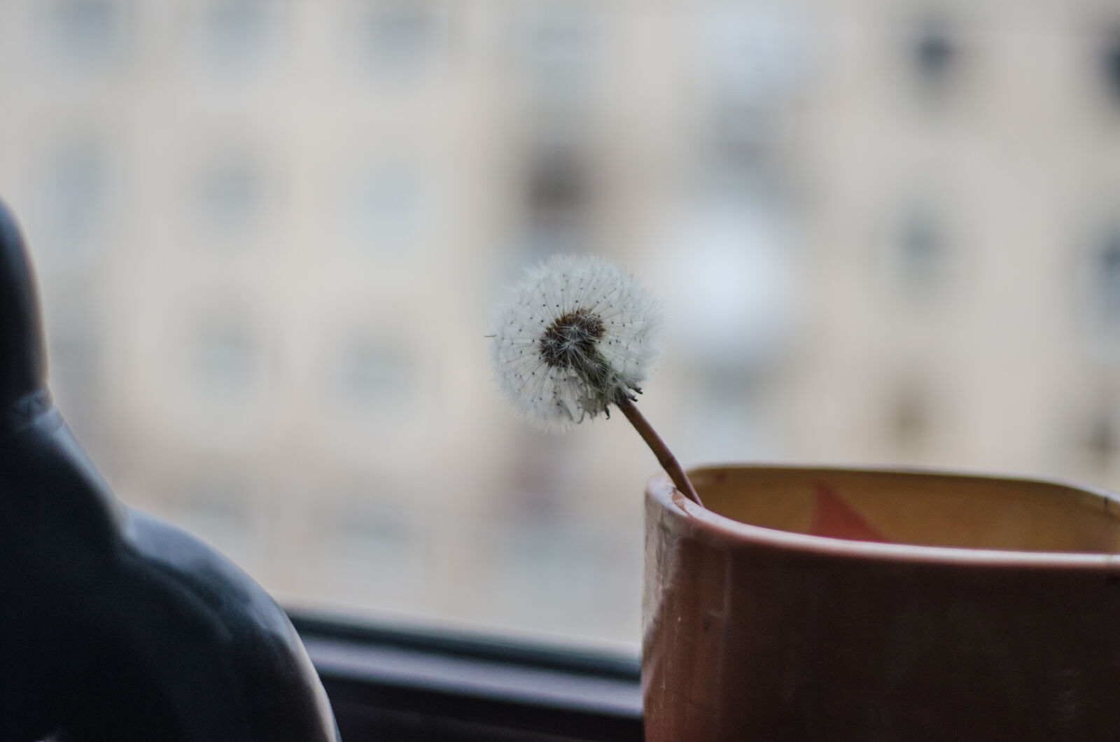 Yongnuo YN50mm F1.8N sample photo